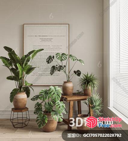 Potted Plants In Front Of A Framed Document And A Window 3D SketchUp File