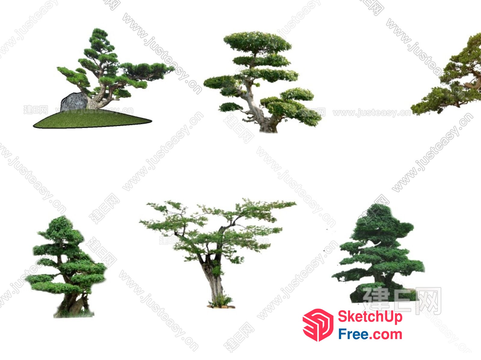 Japanese-Style Tree Collection 3D SketchUp File