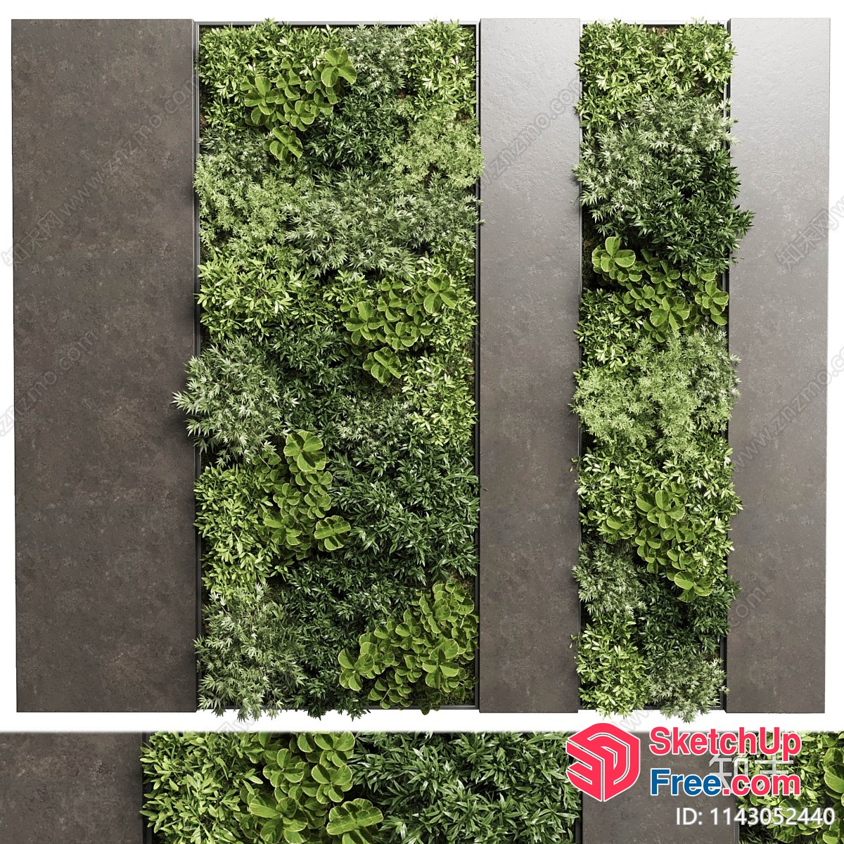 Green Wall Decor 3D SketchUp File