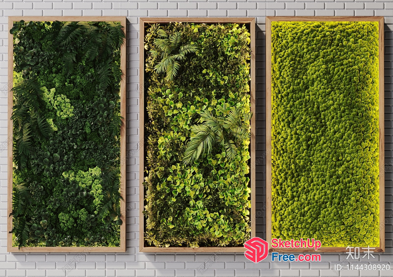 Green Wall Decorations 3D SketchUp File
