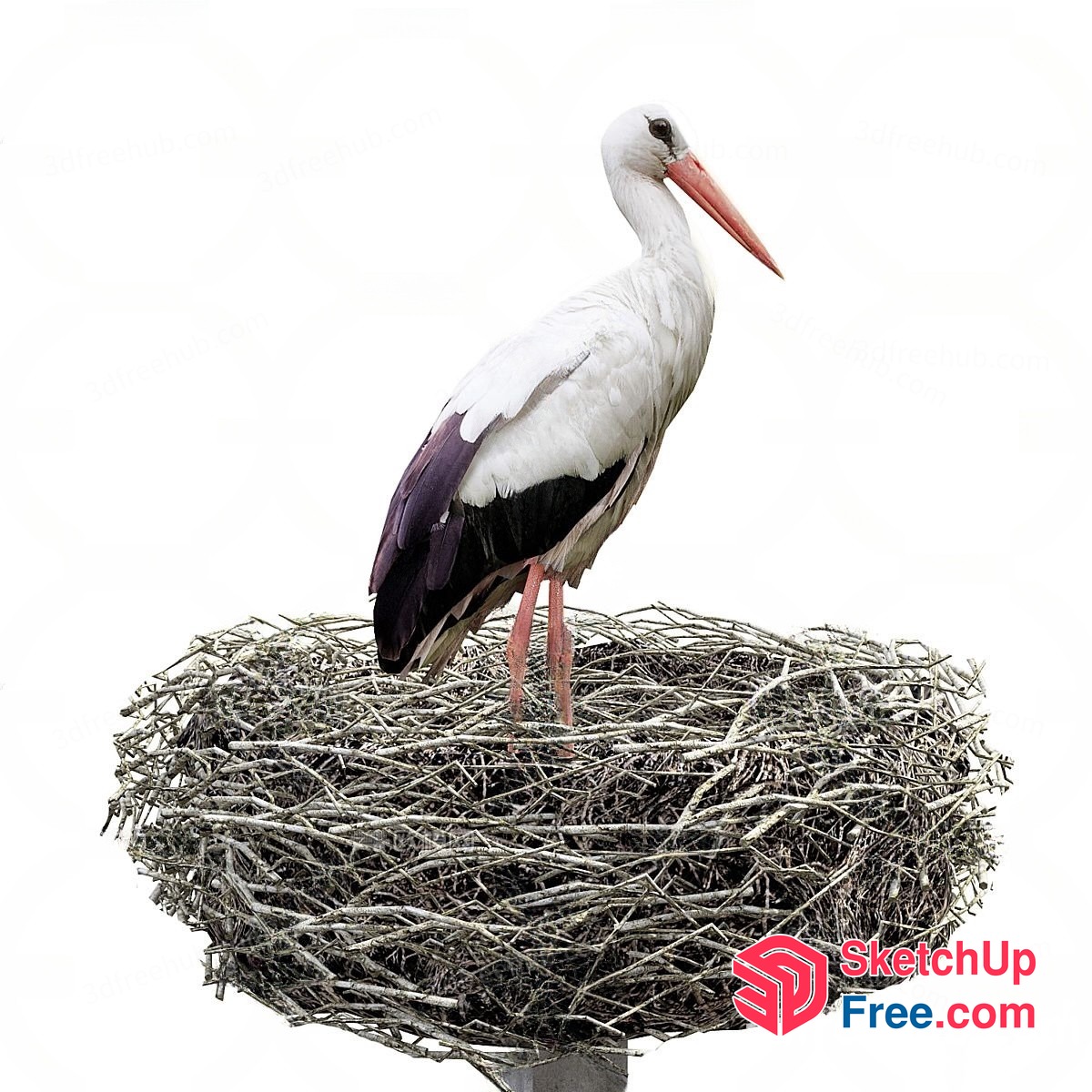 Elegant Stork Perched On A Delicate Nest 3D SketchUp File