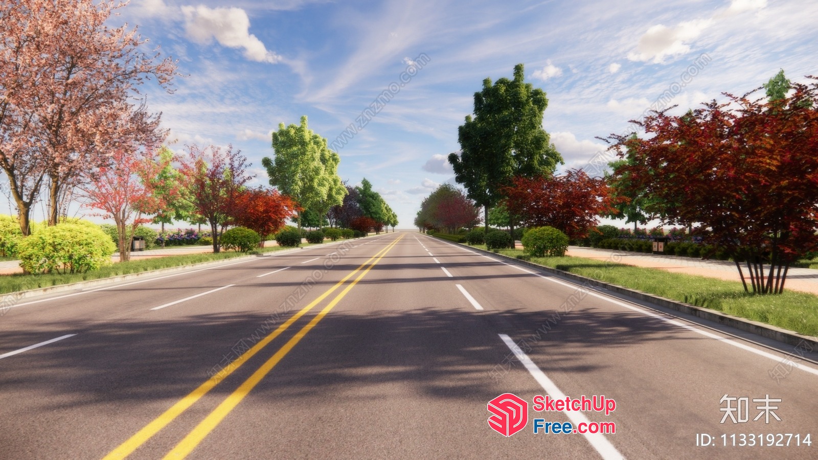 Straight Road With Trees And Bushes 3D SketchUp File