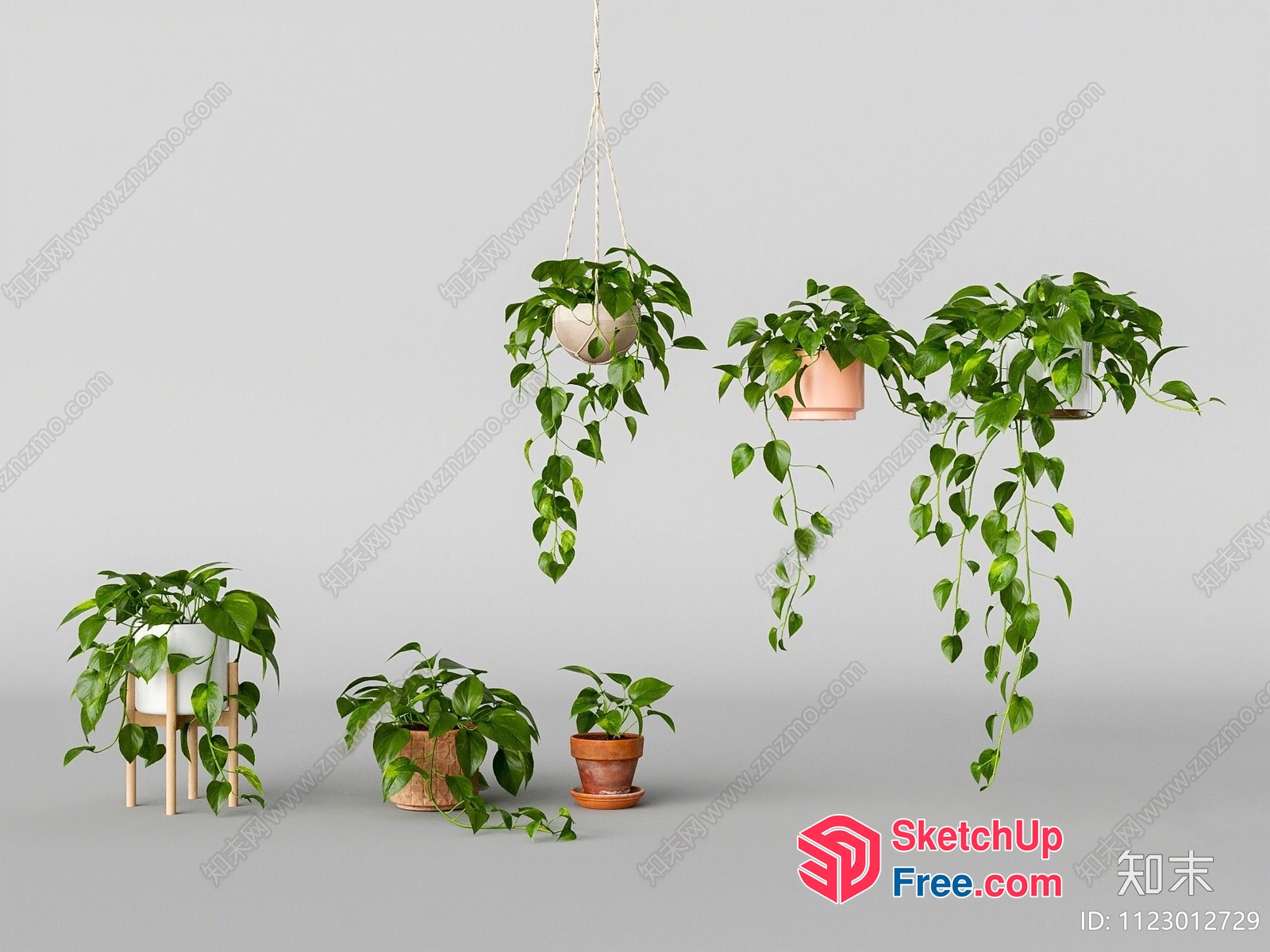 Green Plants In Pots And Hanging Baskets 3D SketchUp File