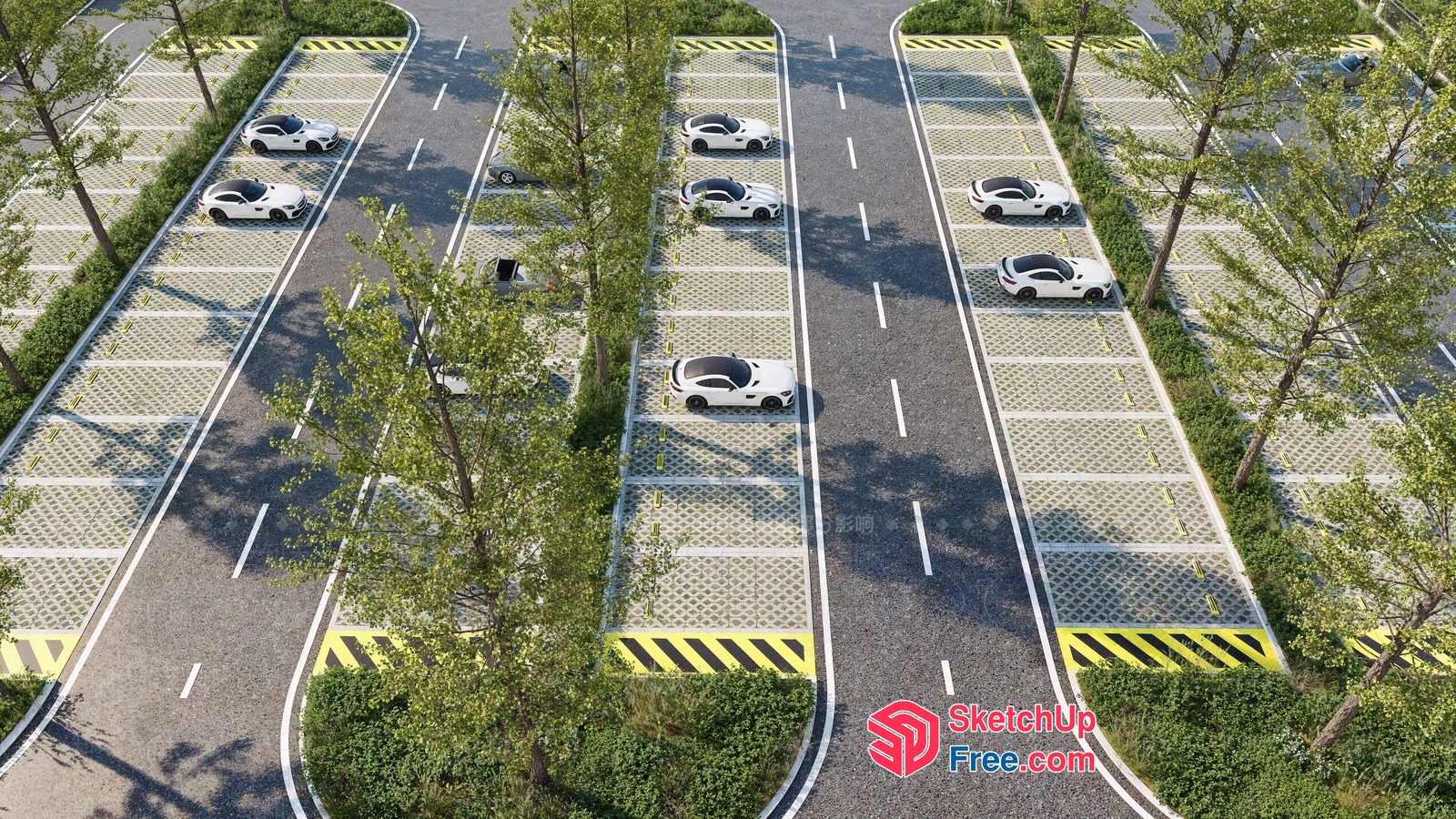 Parking Lot With Cars And Trees 3D SketchUp File