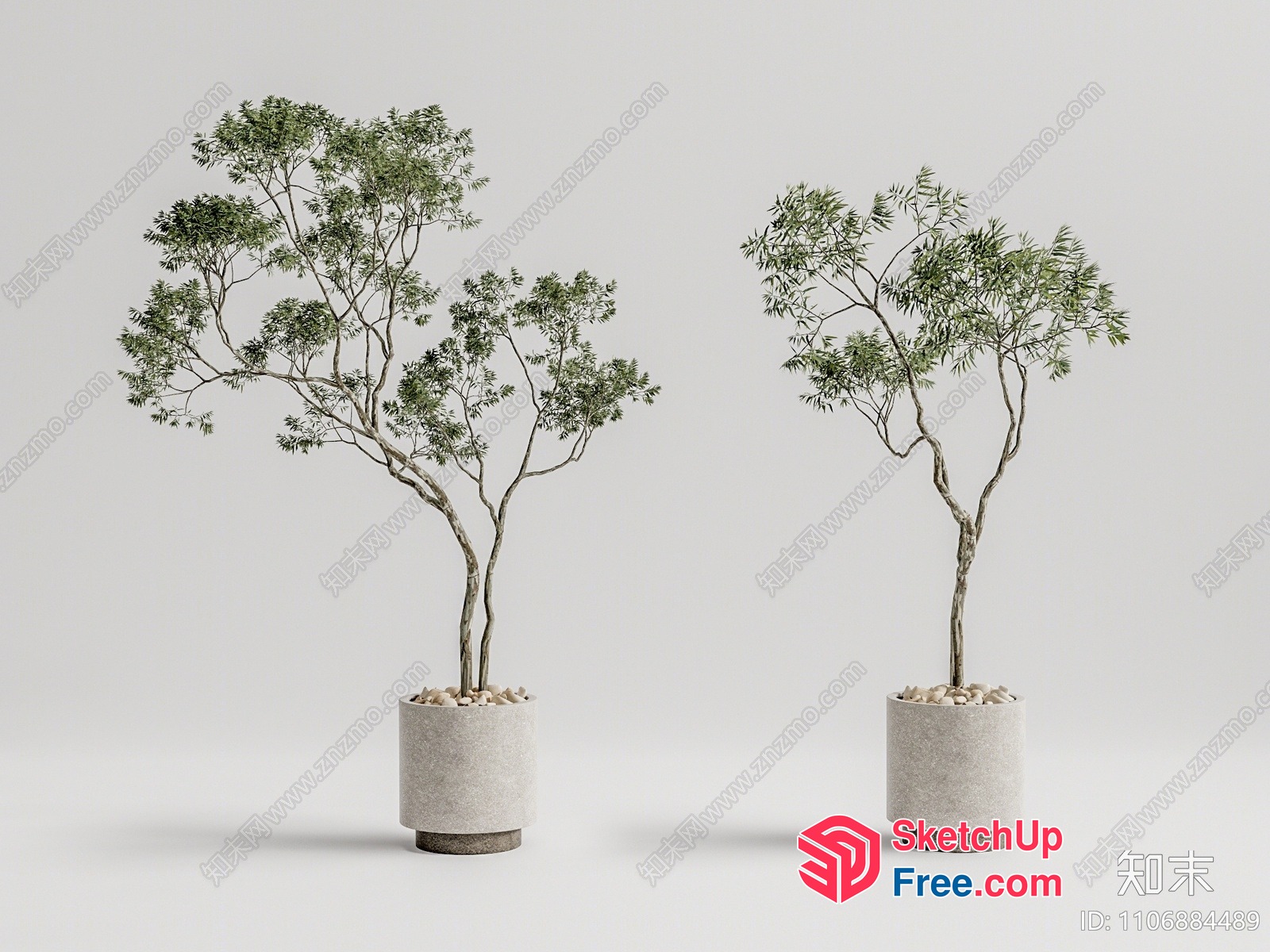 Potted Plants In Elegant Pots 3D SketchUp File