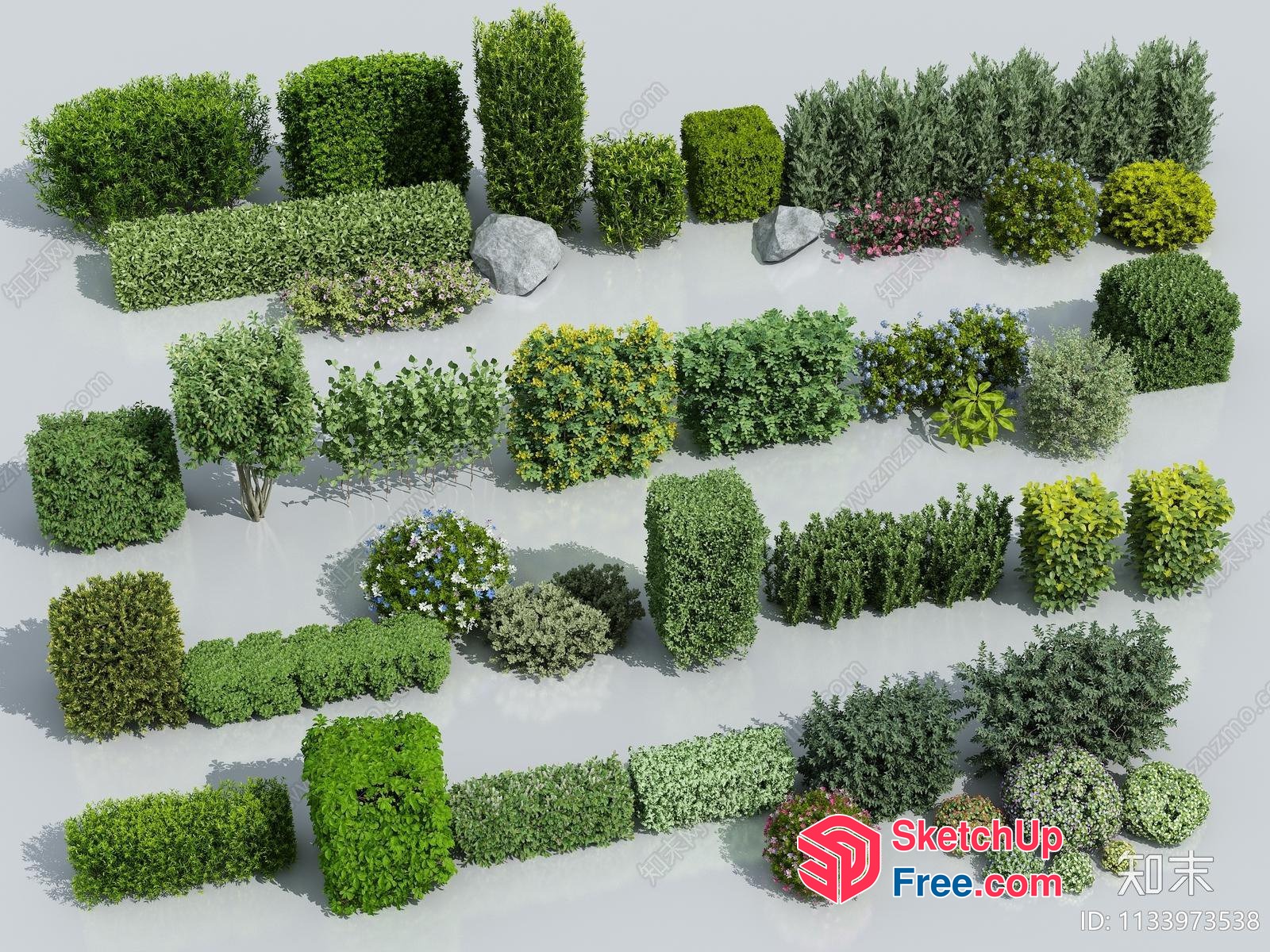 Outdoor Plants Collection 3D SketchUp File
