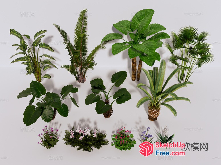 Tropical Plant Variety 3D SketchUp File