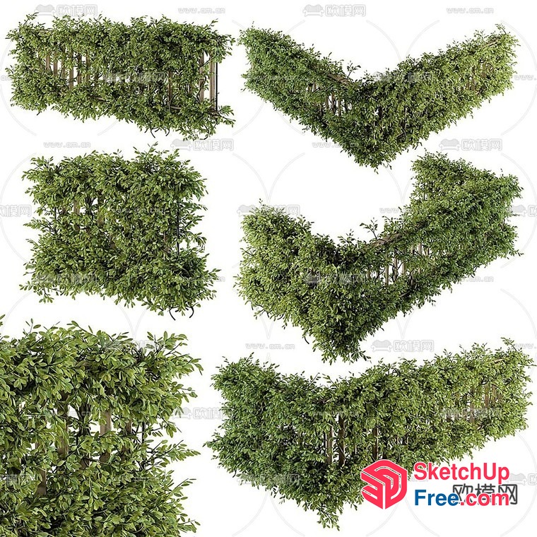 Greenery Wall Decorations 3D SketchUp File