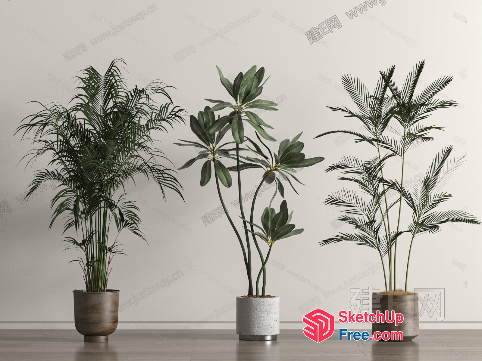 Three Potted Plants In Modern Pots 3D SketchUp File