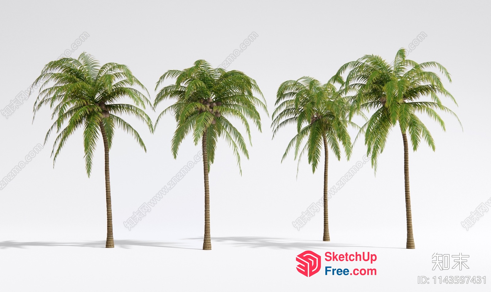 Palm Trees In A Row With Shadows 3D SketchUp File