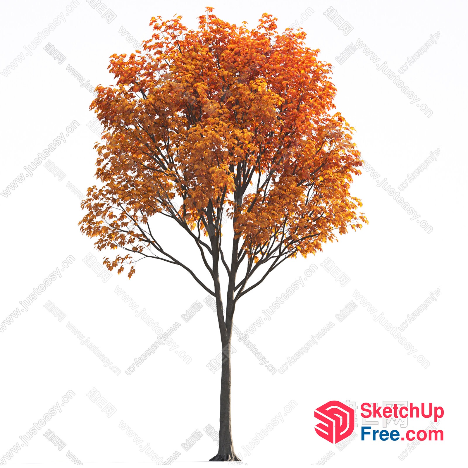Vibrant Orange Tree With Delicate Branches 3D SketchUp File