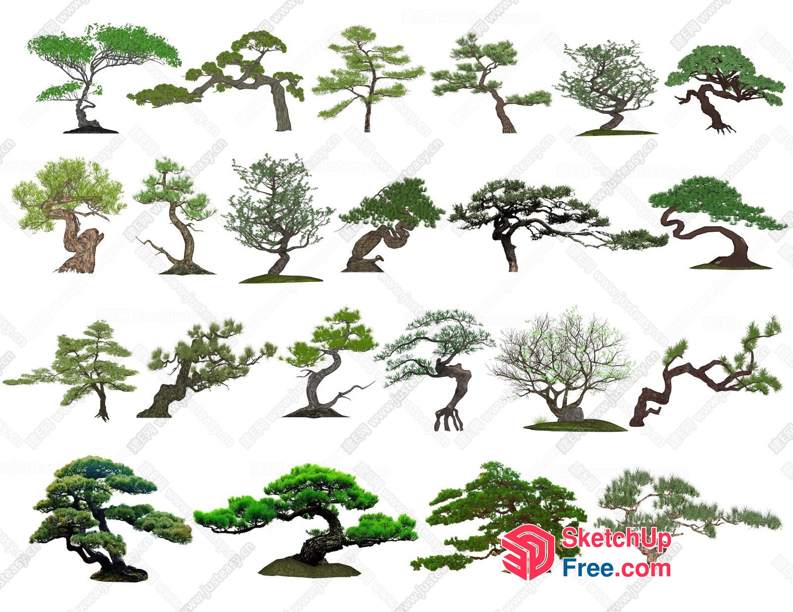 Japanese Style Bonsai Trees Collection 3D SketchUp File