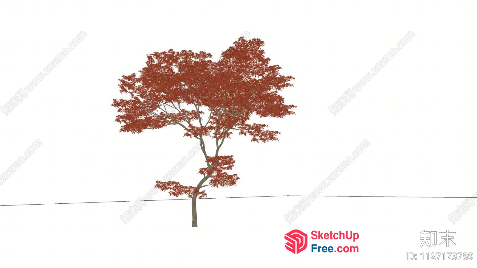 Japanese Style Tree In Autumn 3D SketchUp File