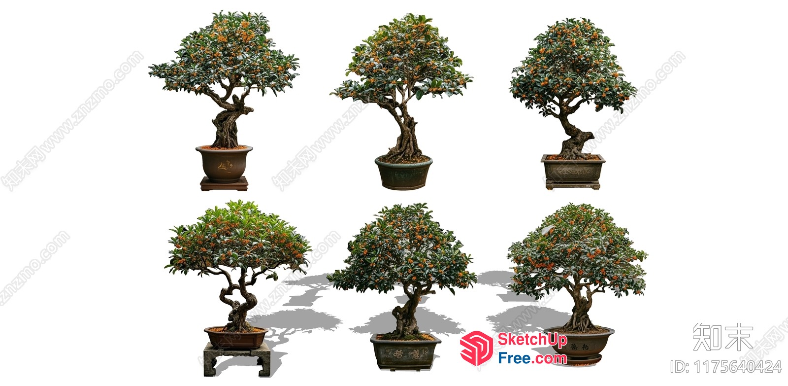 Six Potted Trees With Ornate Bases And Twisted Branches 3D SketchUp File