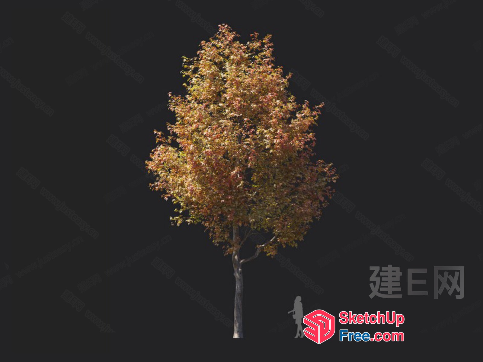 A Tree With A Woman Standing Beside It 3D SketchUp File