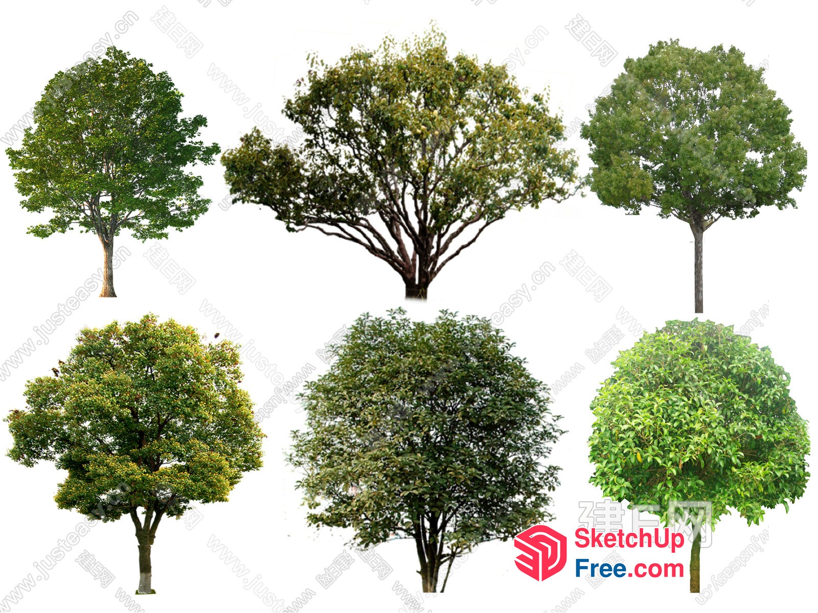 Green Trees Collection 3D SketchUp File