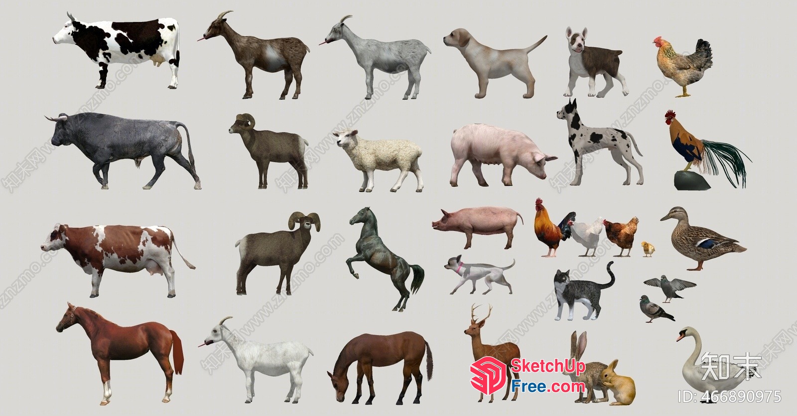 Animal Collection 3D SketchUp File