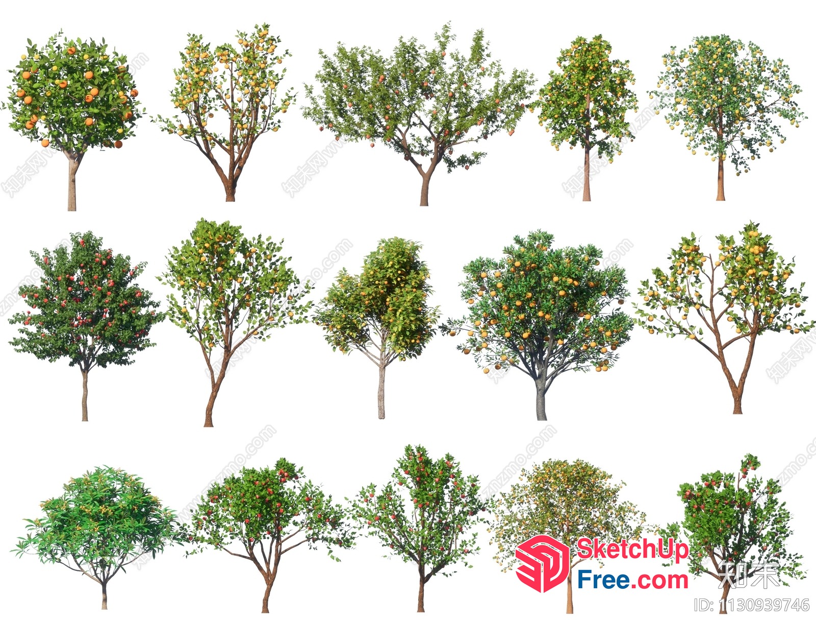 Colorful Trees With Fruits 3D SketchUp File