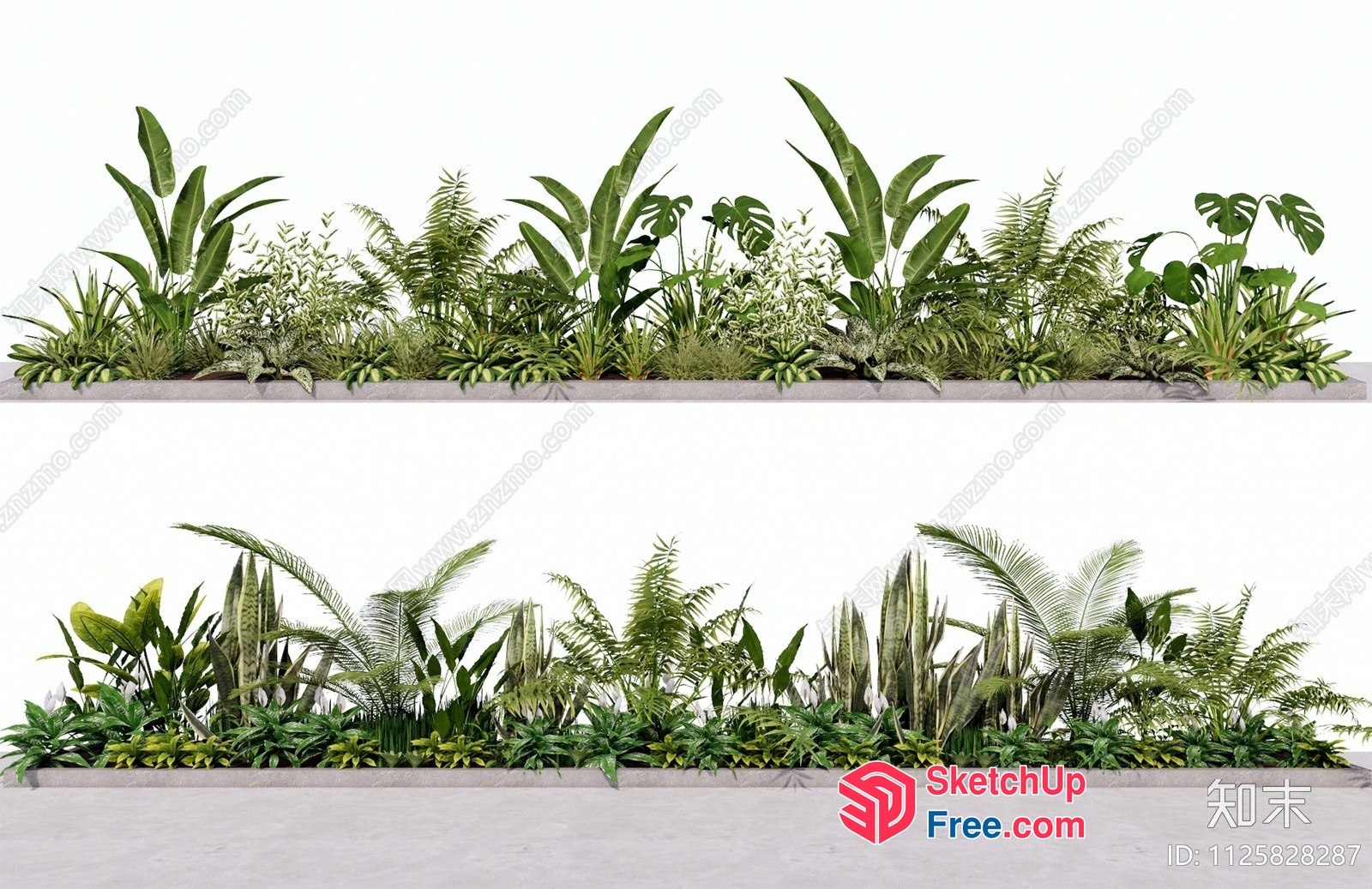Green Plants In A Concrete Planter 3D SketchUp File