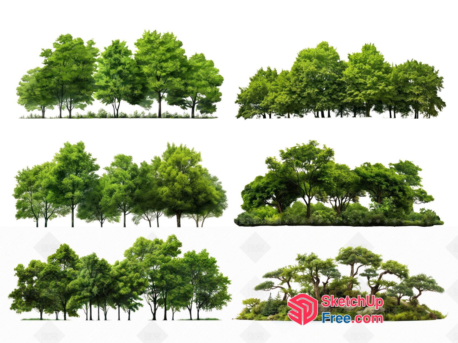 Green Tree Collection 3D SketchUp File