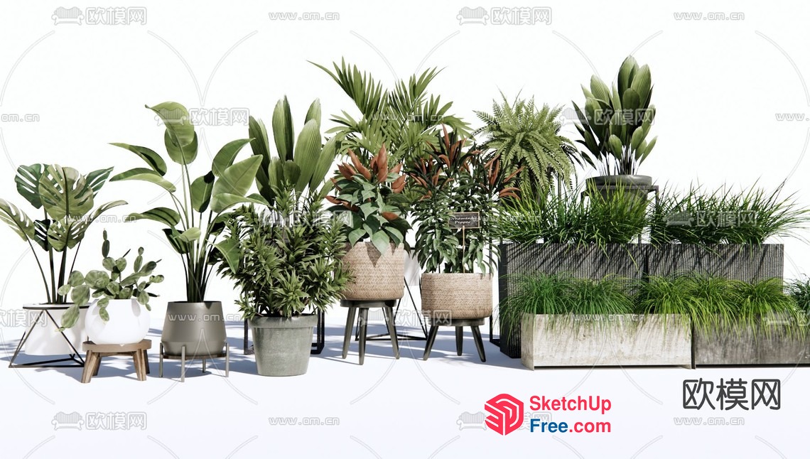 Lush Greenery Collection 3D SketchUp File