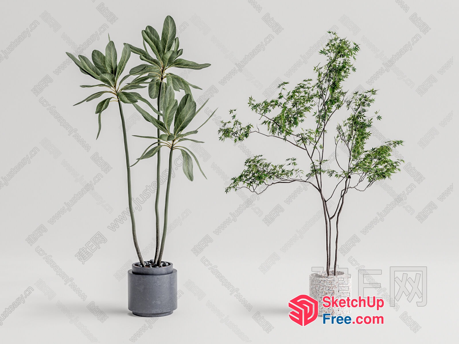 Two Potted Plants In Grey And White Pots 3D SketchUp File