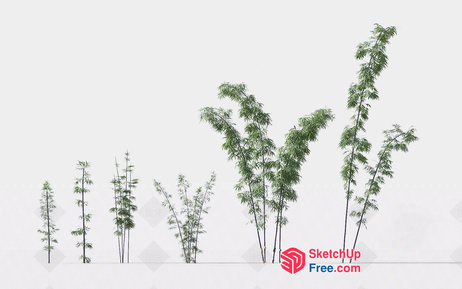 Tall Plants In A Row 3D SketchUp File