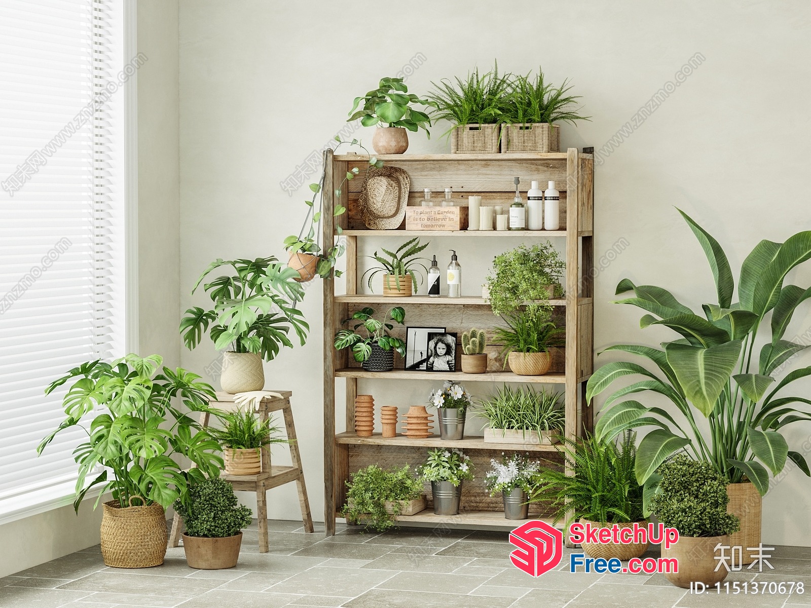 Elegant Indoor Plants And Decorative Shelf 3D SketchUp File