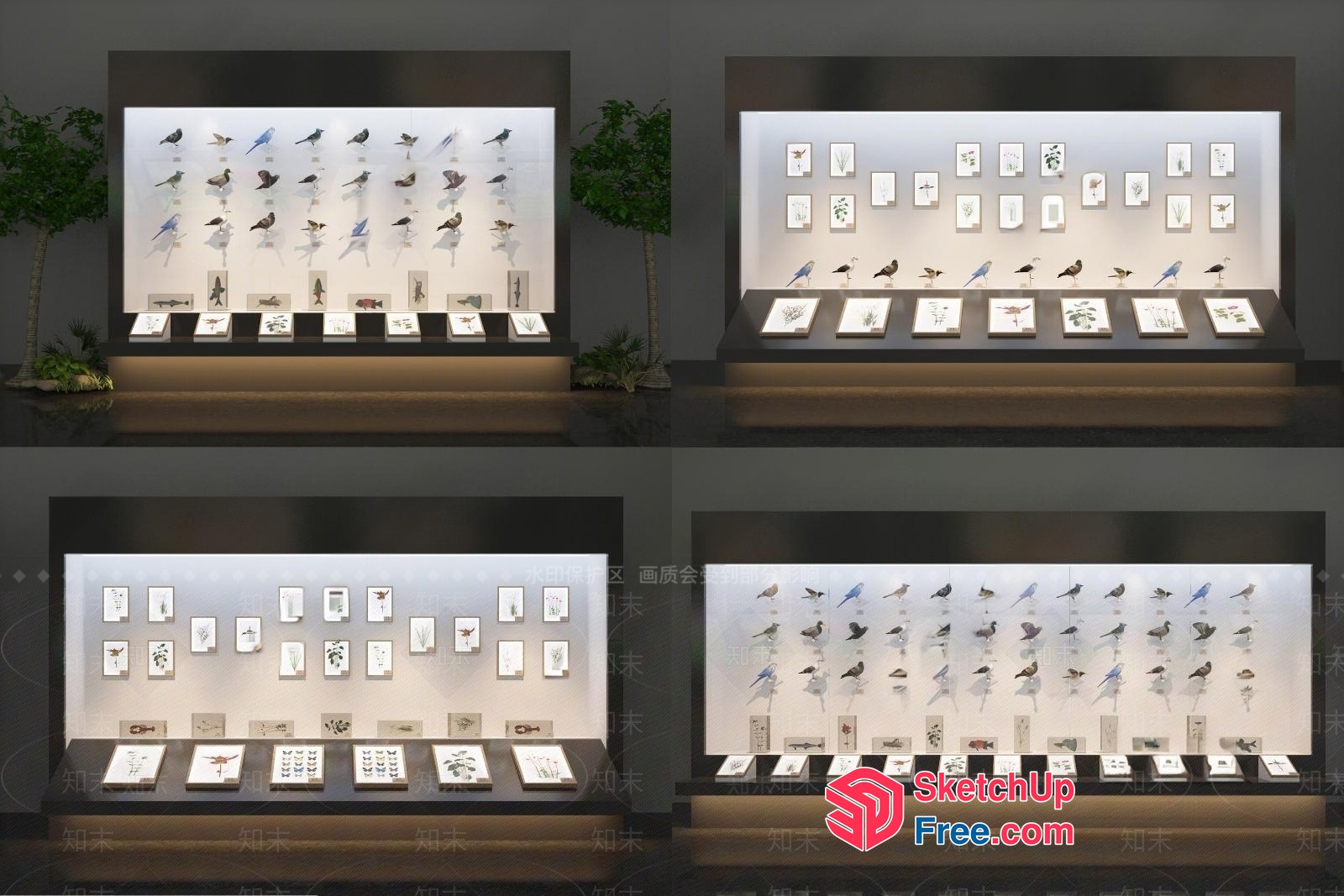 Bird Species Display Cases 3D SketchUp File