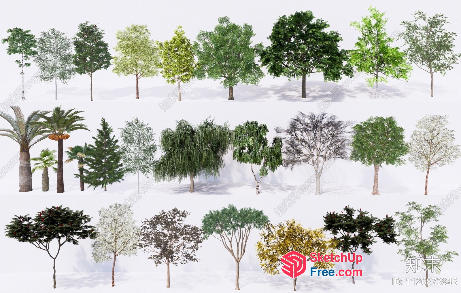 Various Trees In Different Styles 3D SketchUp File