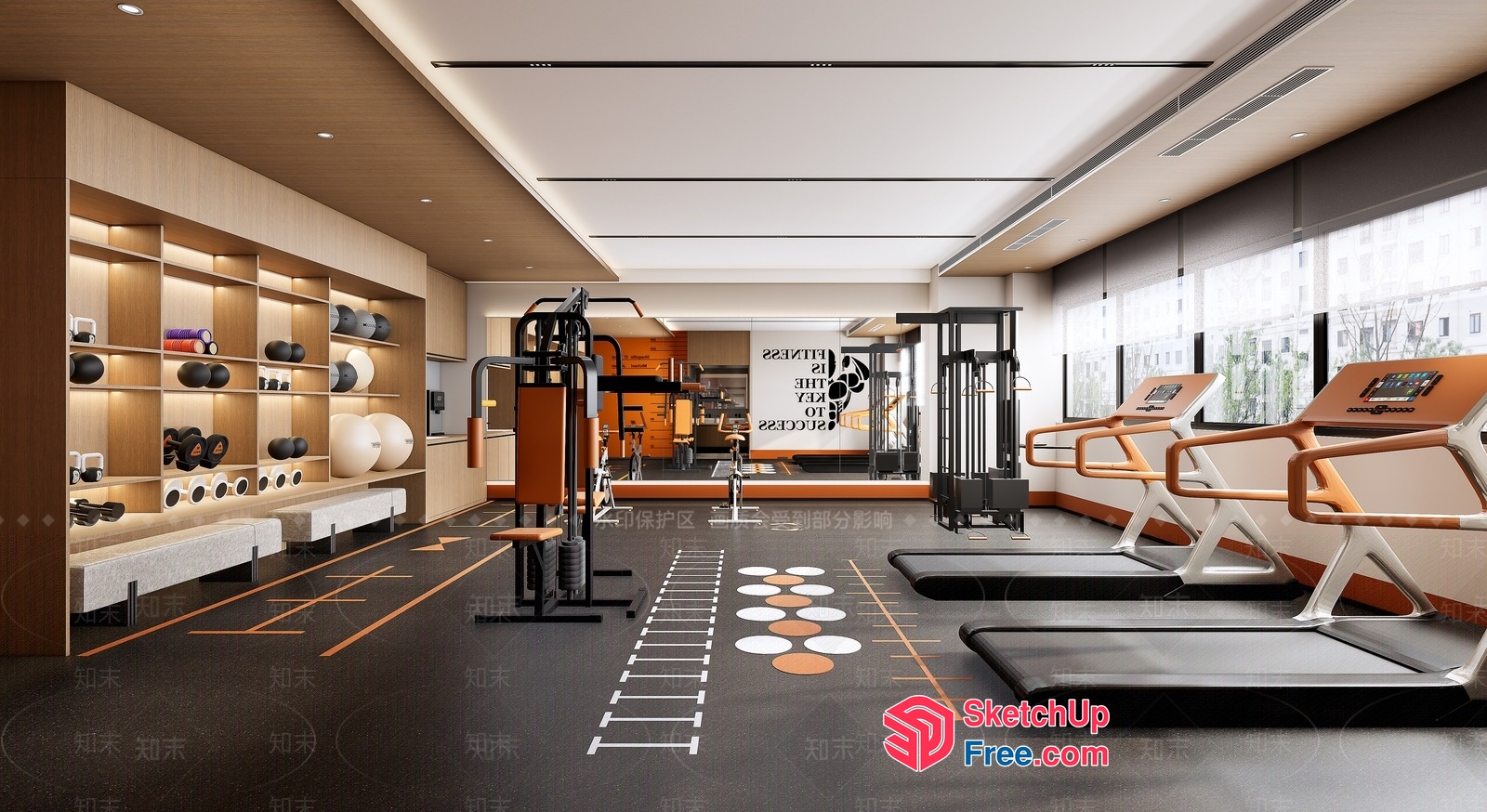 Modern Gym Interior With Fitness Equipment And Decorative Wall 3D SketchUp File