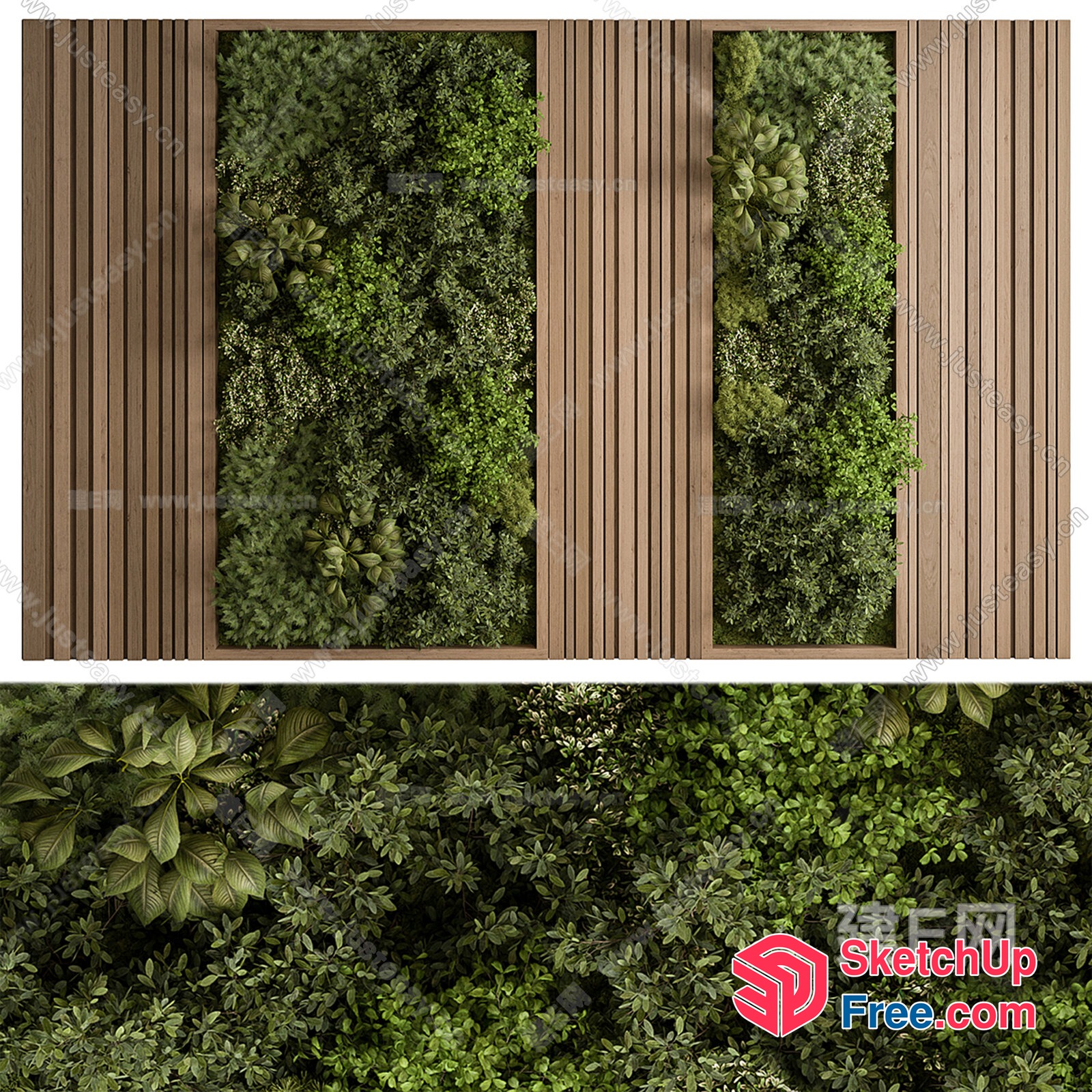 Lush Greenery Accent Wall 3D SketchUp File
