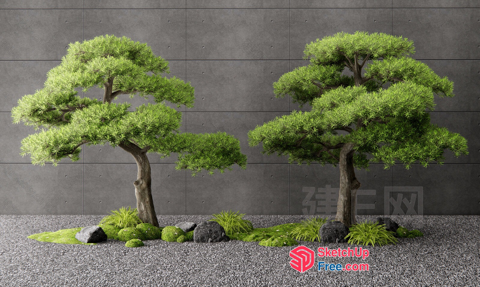 Japanese Style Bonsai Trees In Zen Garden 3D SketchUp File