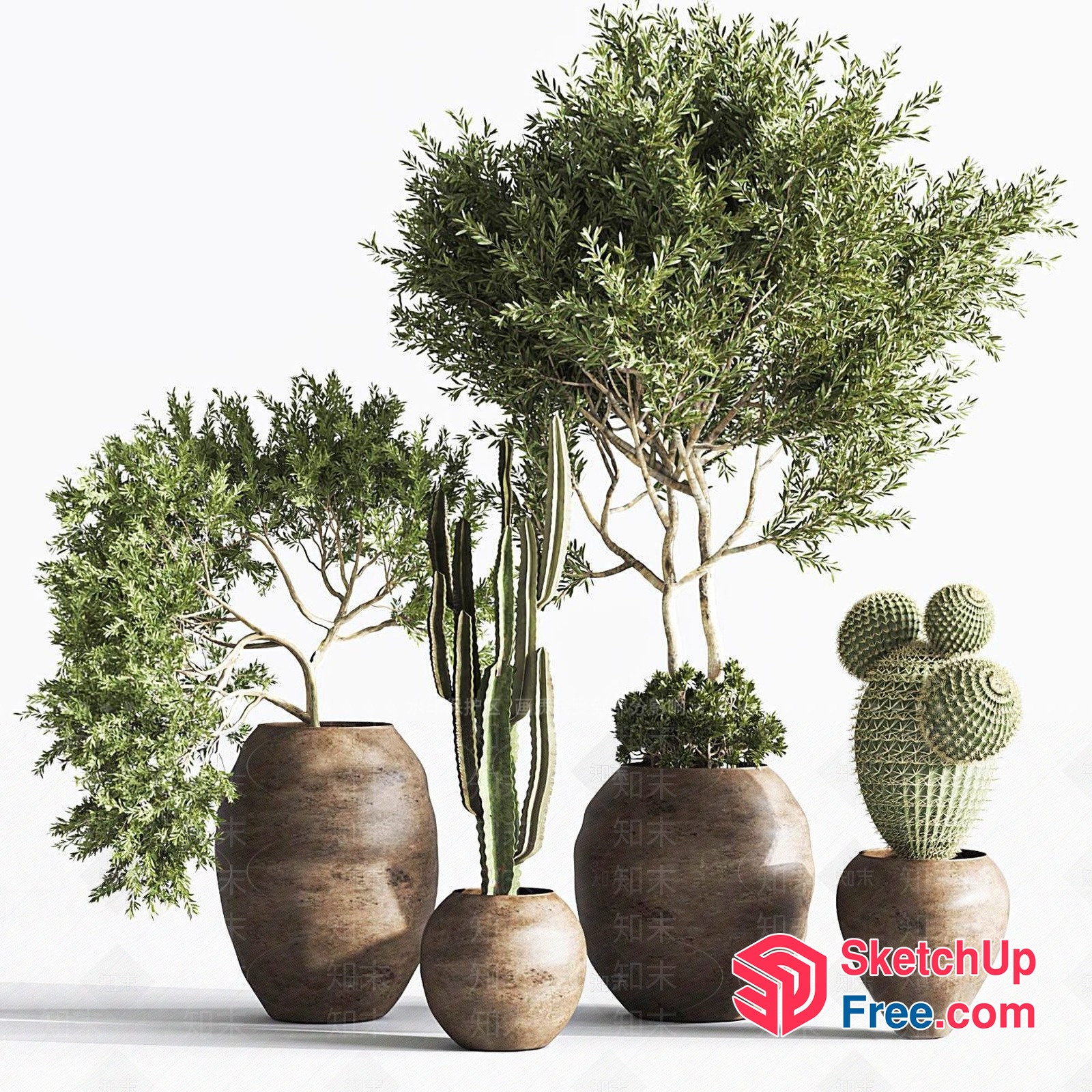 Decorative Potted Plants 3D SketchUp File