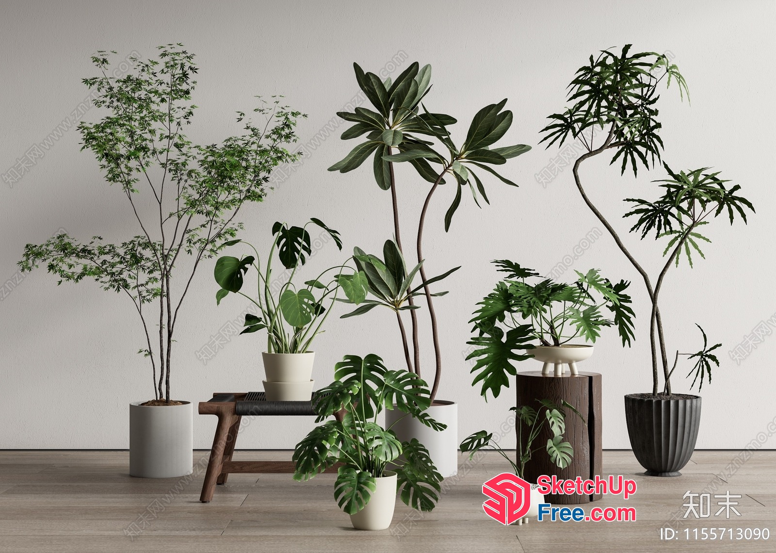 Potted Plants In A Modern Interior Setting 3D SketchUp File