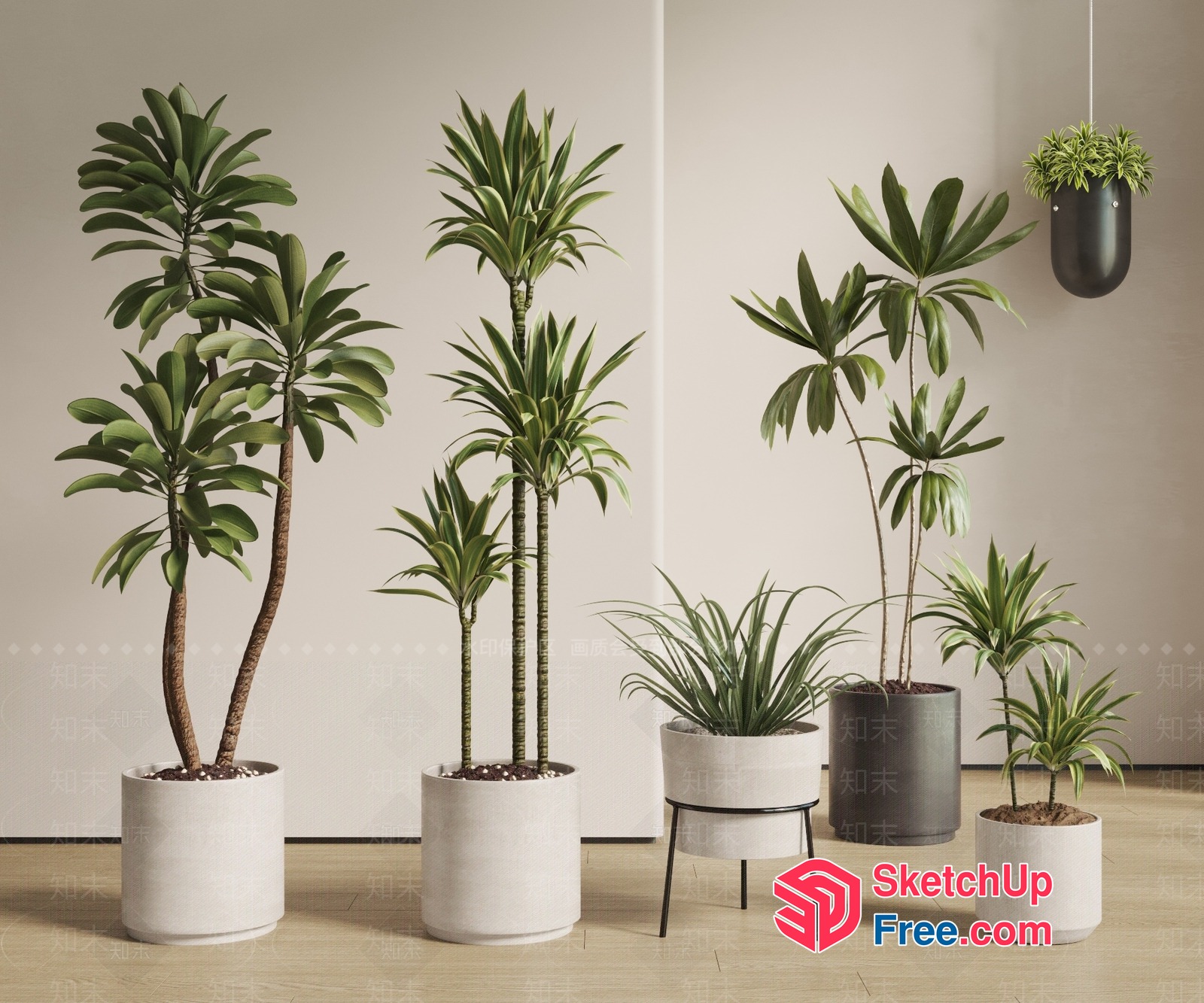 Potted Plants In A Modern Interior Setting 3D SketchUp File