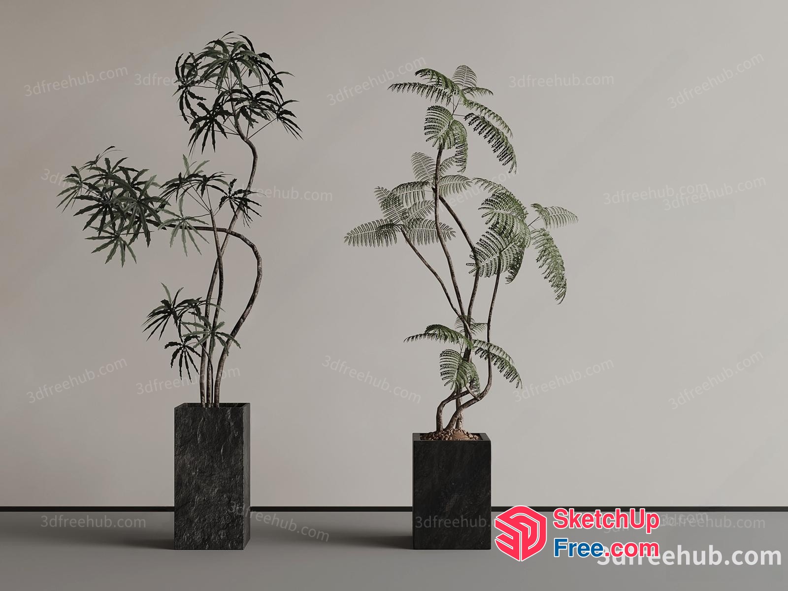 Two Tall Plants In Pots 3D SketchUp File