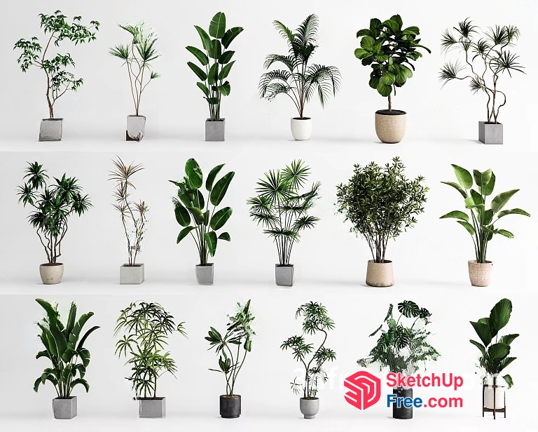 Potted Plants In Various Styles 3D SketchUp File
