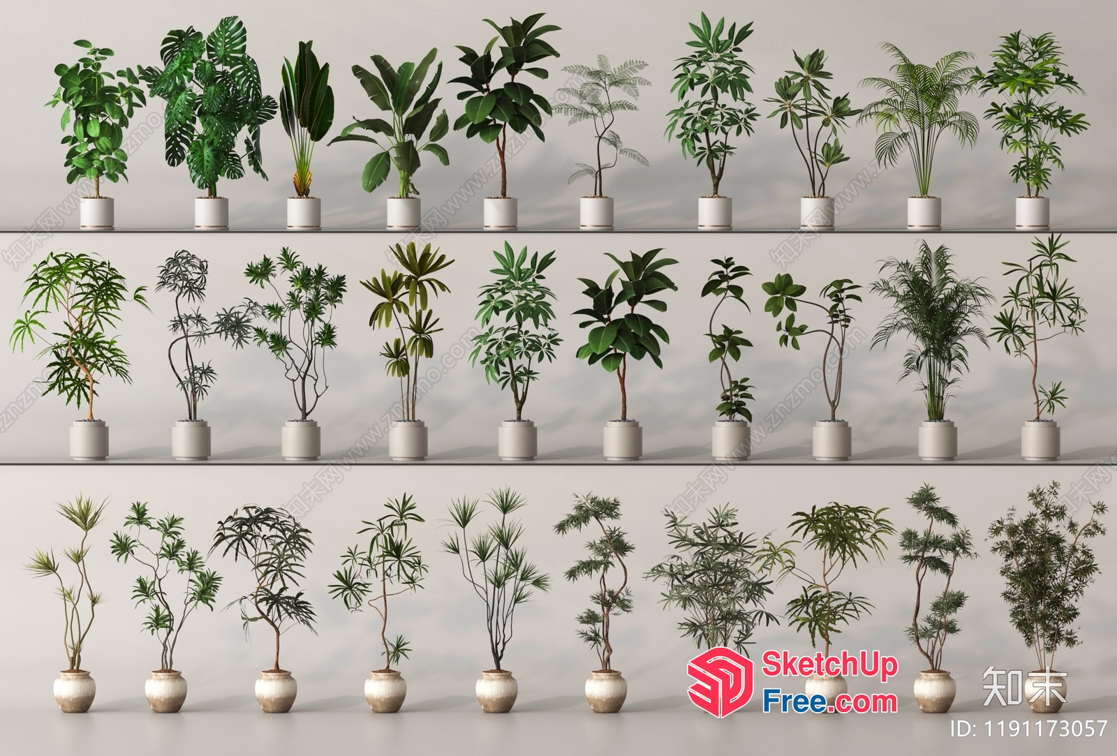 Potted Plants In Various Styles 3D SketchUp File