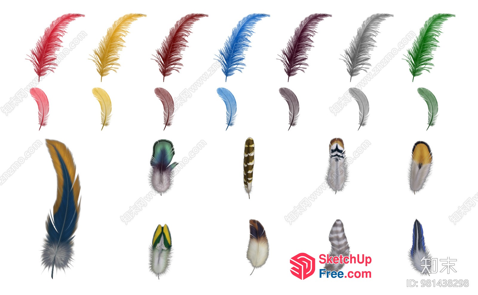 Colorful Feathers Collection 3D SketchUp File