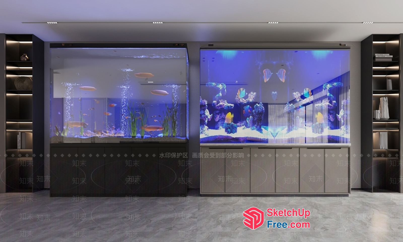 Modern Aquariums With Vibrant Marine Life 3D SketchUp File