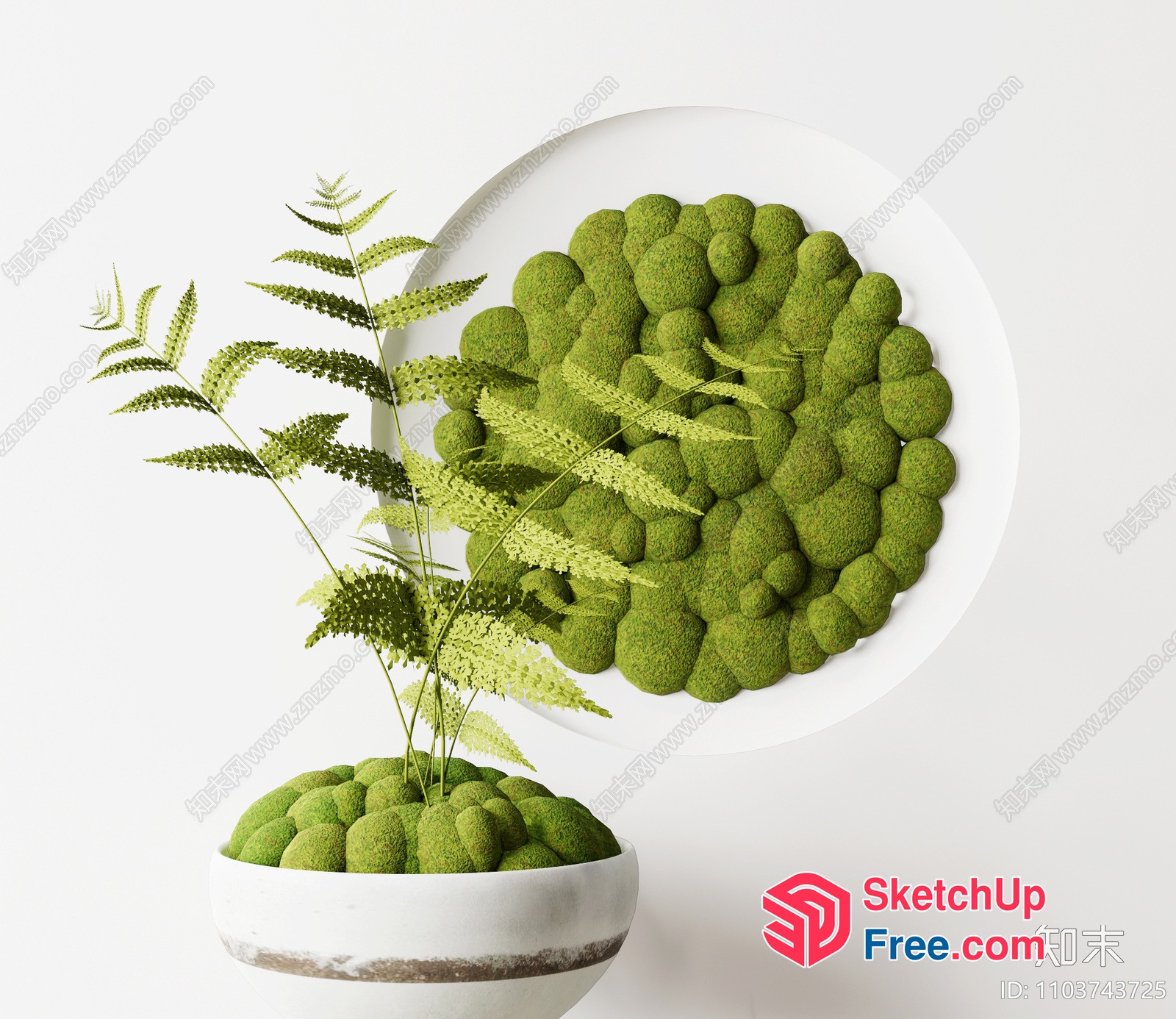 Decorative Mossy Greenery In A White Bowl 3D SketchUp File