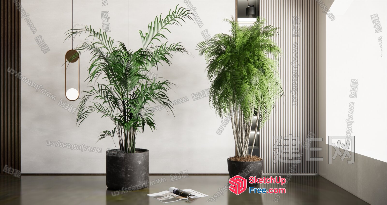 Modern Palm Tree Plants In A Contemporary Room 3D SketchUp File