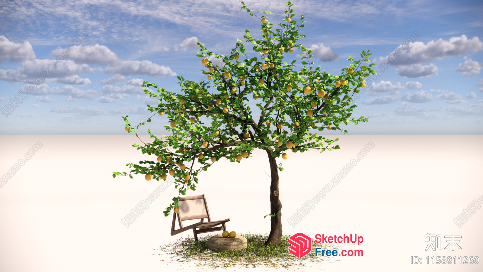 A Tree Of Abundance With A Chair And Fruit 3D SketchUp File