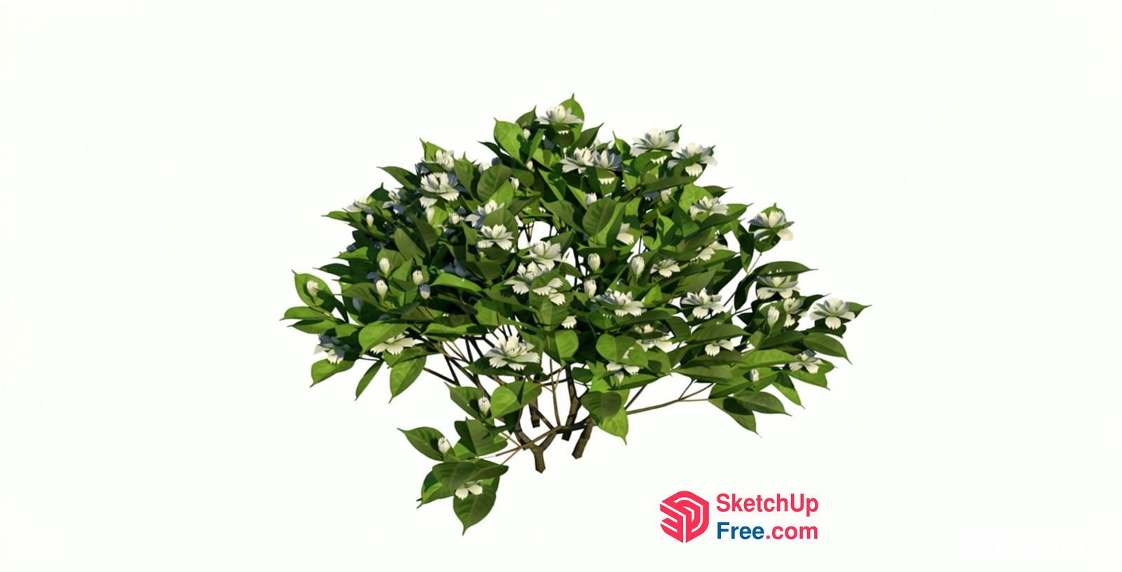 A Delicate Floral Arrangement Of Green Leaves And White Flowers 3D SketchUp File