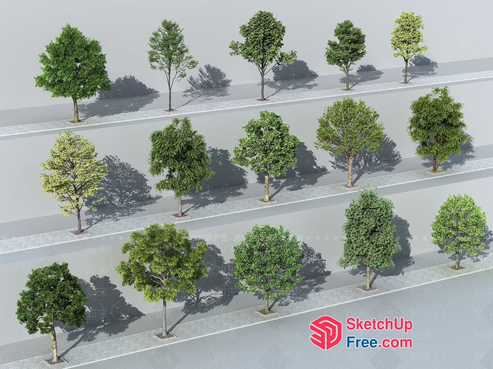 Tree Collection In A Commercial Street Setting 3D SketchUp File