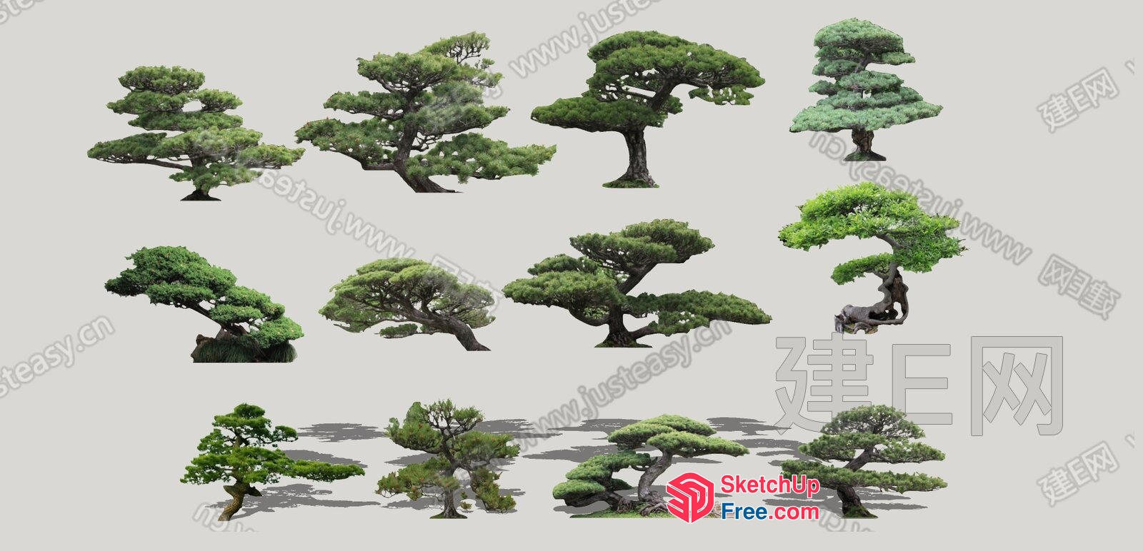 3D Models Of Trees In Various Styles 3D SketchUp File