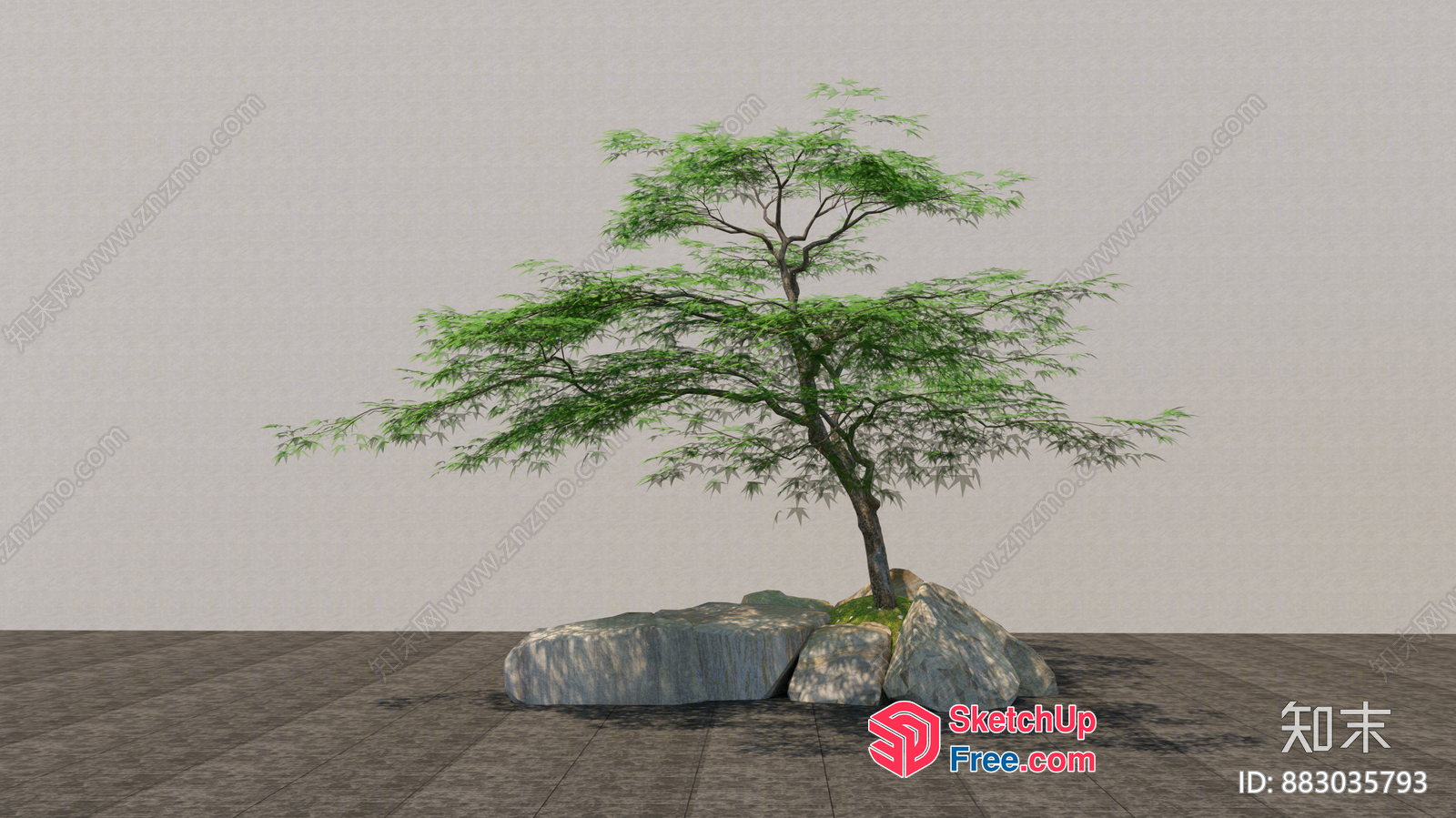Japanese Style Tree On Rocks 3D SketchUp File