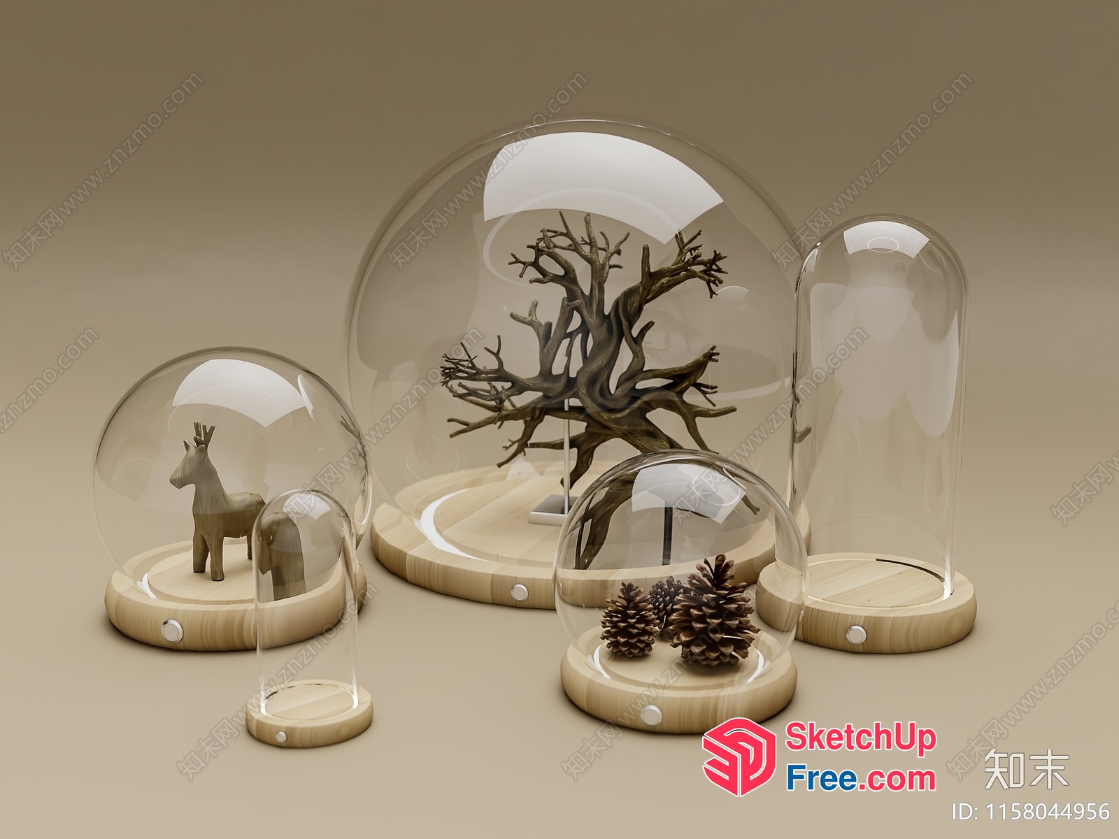 Glass Domes With Wooden Bases And Decorative Objects 3D SketchUp File