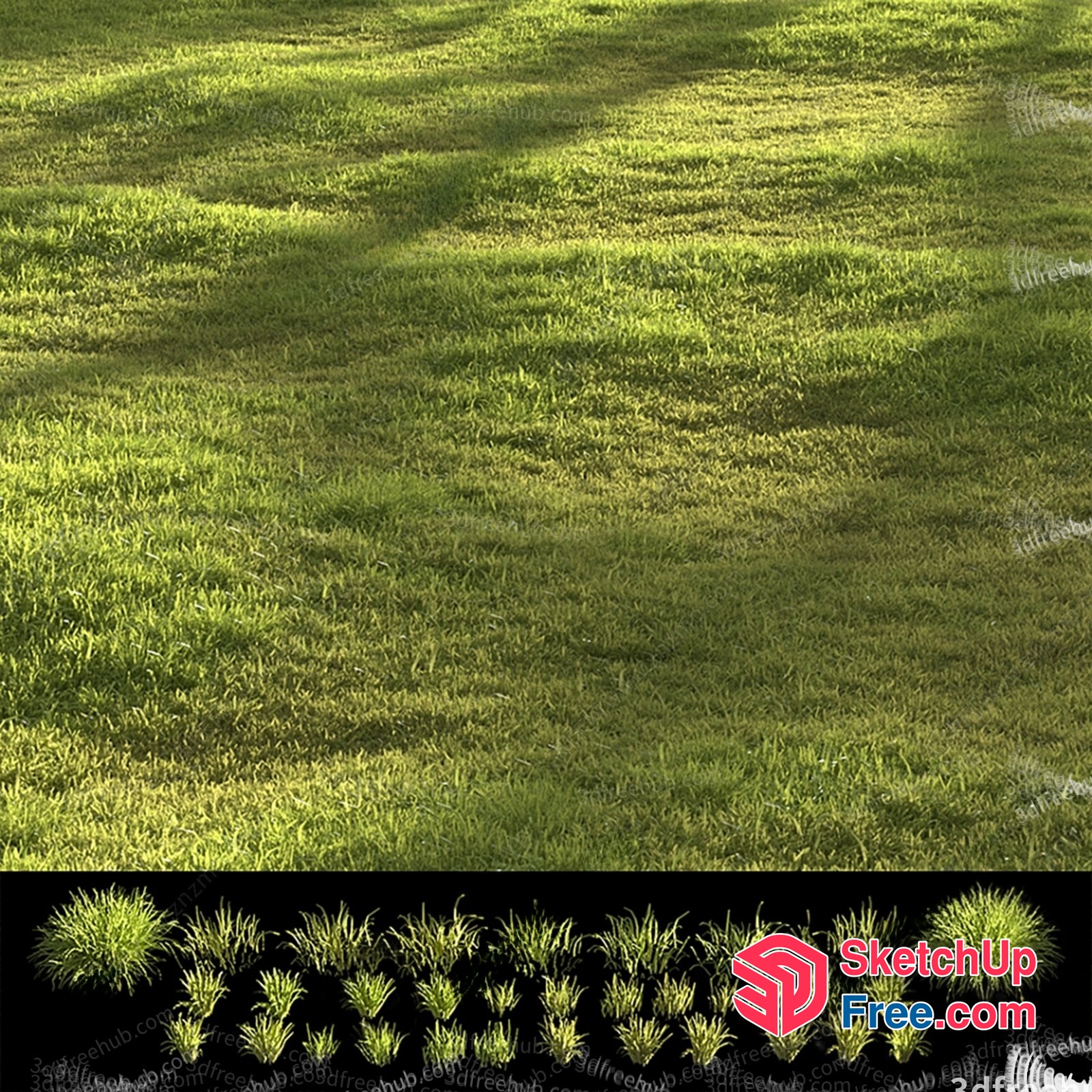 Green Grass Field With Shadows 3D SketchUp File